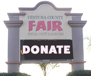 VCFG-donate.jpg